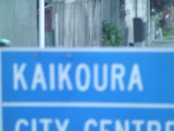 Kaikoura-sign-2013-01