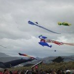 New Brighton kite day