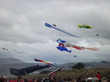 Brighton Kite Day-2016-001